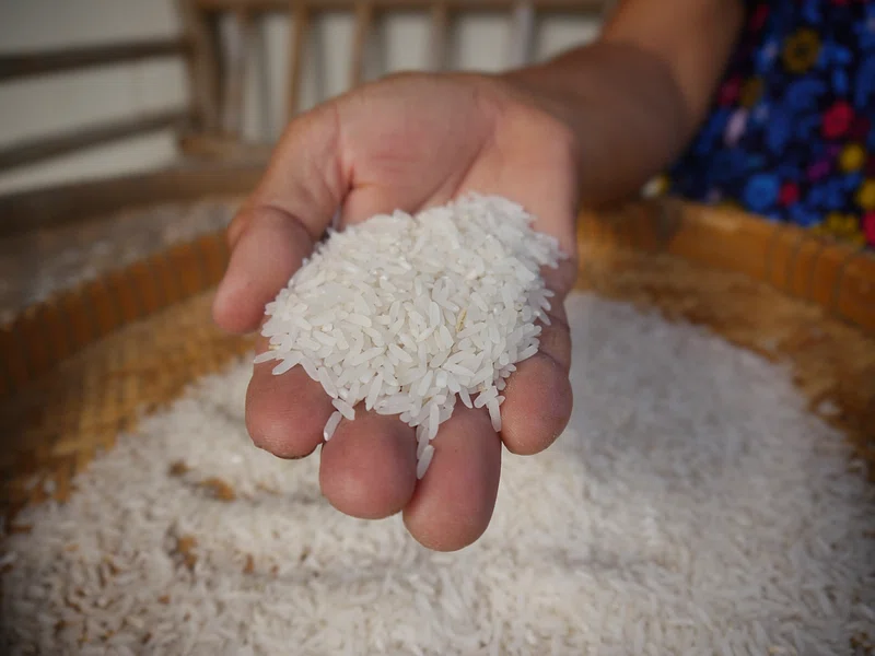 Rice supply